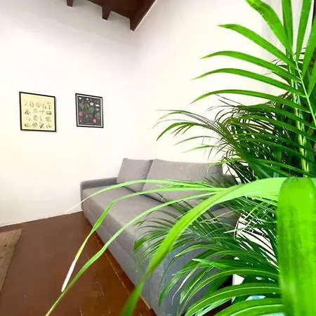 Casa Centro Wi Fi Aria Condizionata Netflix Apartment Florence